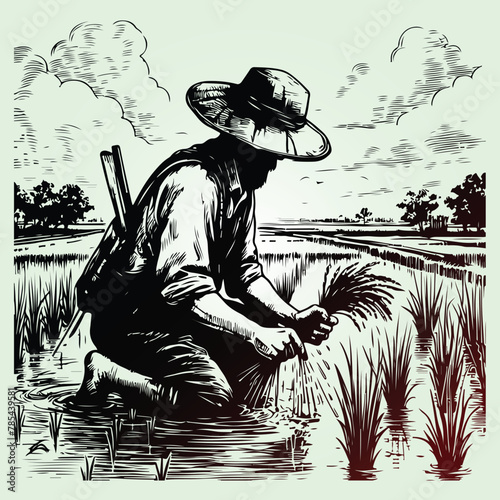 Farmer working on the field