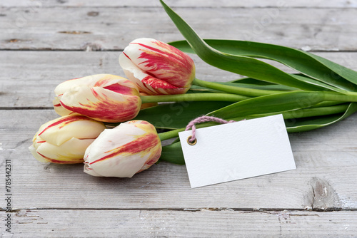 Bouquet of striped tulips in red, yellow and white and card with copy space