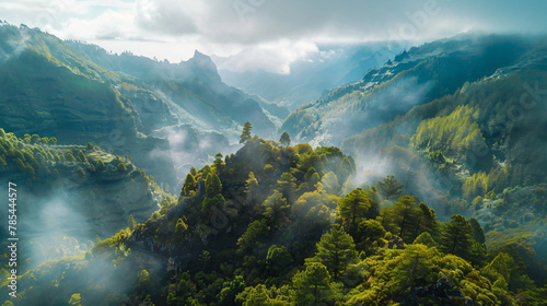 Rainforest hills on Madeira island Portugal