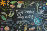 A blackboard with a beautifully illustrated food web and 