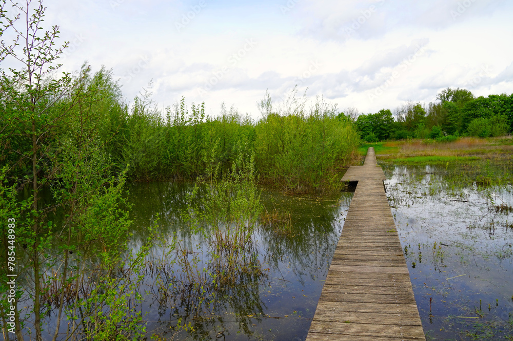 Holzsteg über ein Feuchtbiotop im Oberwerrieser Mersch nahe der Lippe Fähre Lucia und dem Schloss Oberwerries zwischen Hamm und Ahlen, Naturschutz, Landschaftsschutzgebiet, Biotop, Umwelt, Lippeaue Holzsteg über ein Feuchtbiotop im Oberwerrieser Mersch nahe der Lippe Fähre Lucia und dem Schloss Oberwerries zwischen Hamm und Ahlen, Naturschutz, Landschaftsschutzgebiet, Biotop, Umwelt, Lippeaue