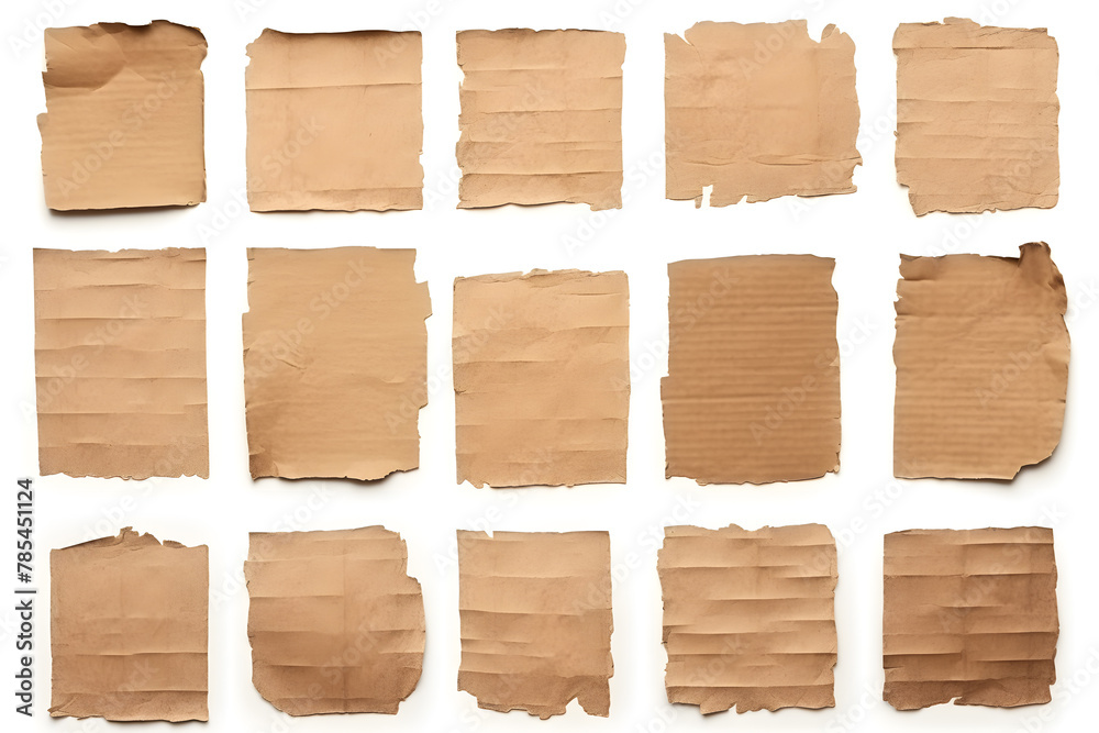 Collection of ripped pieces of corrugated cardboard isolated on white background