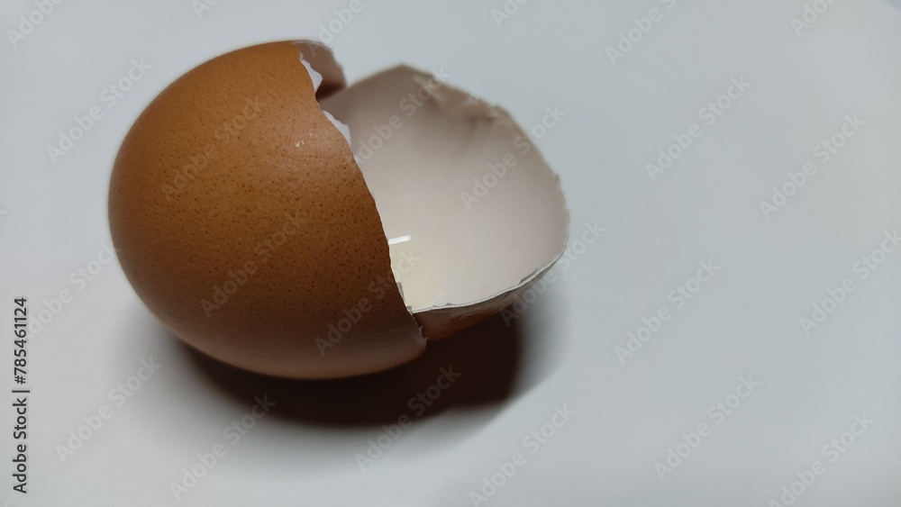 shell shell
