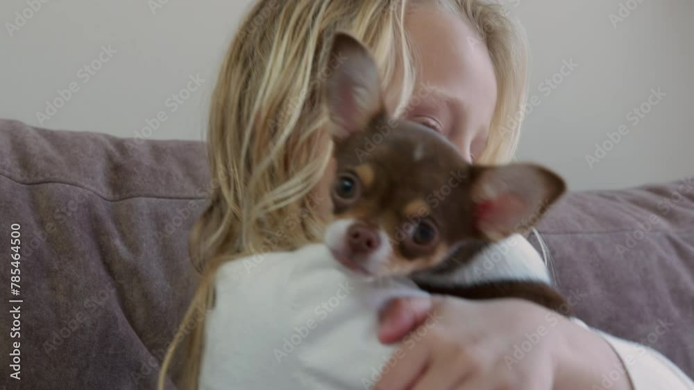 Close-up of a playful brown and white puppy standing on hind legs with a young blonde girl on a couch Close-up of a playful brown and white puppy standing on hind legs with a young blonde girl on a couch