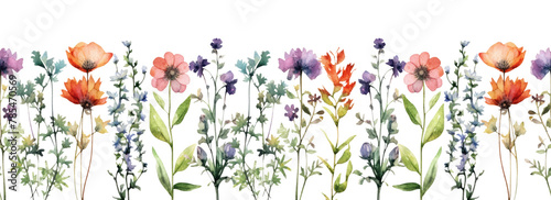 Watercolor border wildflowers floral illustration  summer flower  blossom  poppies  chamomile  dandelions  cornflowers  lavender  violet  bluebell  clover  buttercup. Generative AI