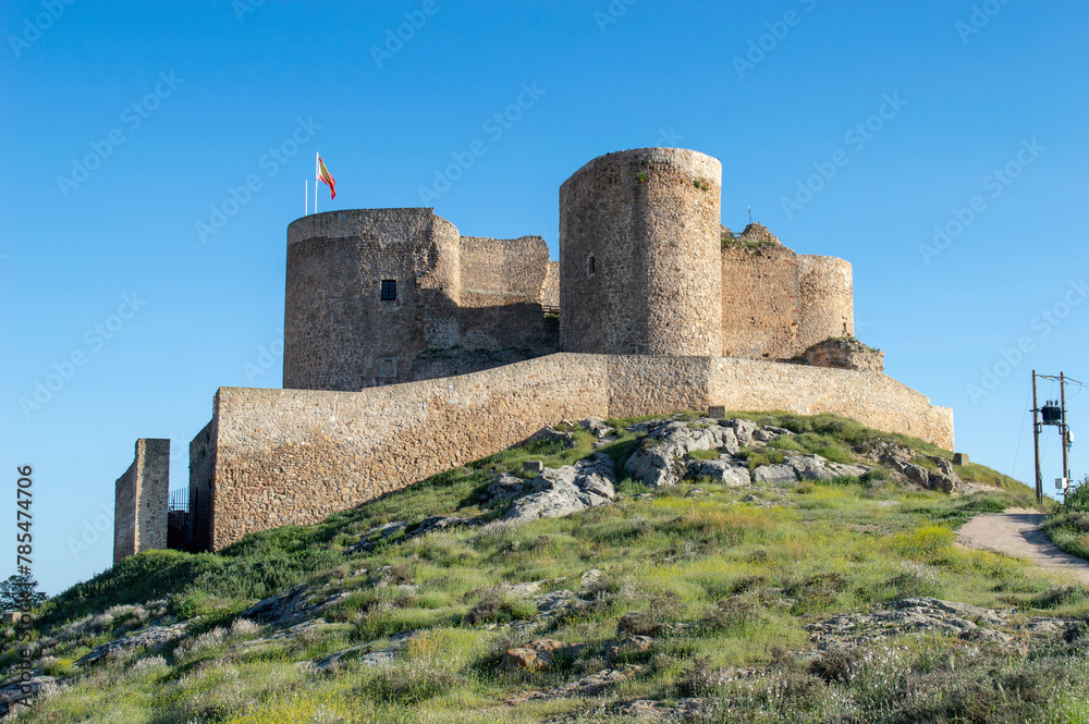 Castillo de la Muela, Castillo de Consuegra