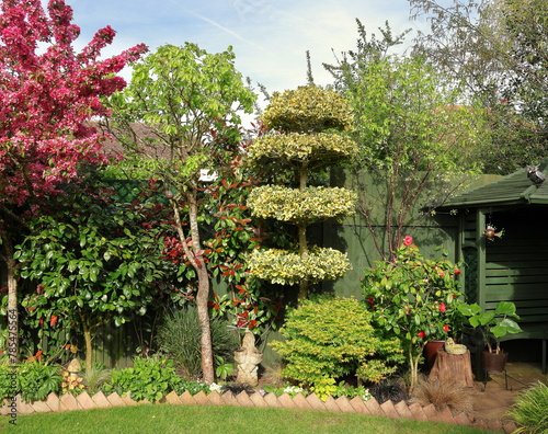 Garden - Back garden in Spring