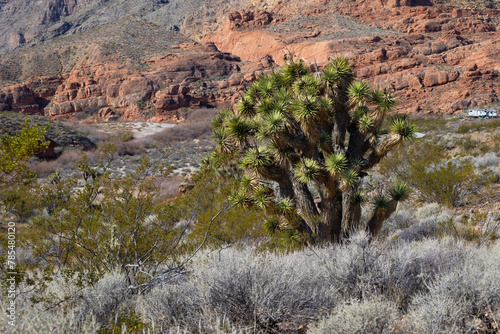 Mountains and snow peaks in the nevada and utah valleys photo