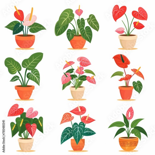 Anthurium (tailflower, flamingo flower, laceleaf) Pot Plant Icon Set, Anthurium Plant Flat Design