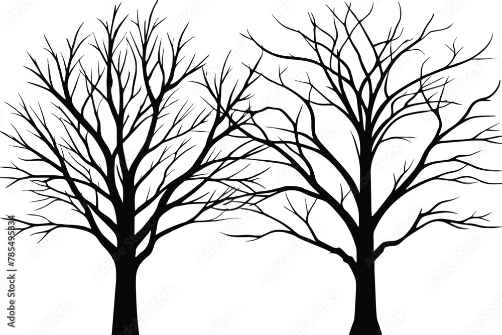 Large leafless hardwood trees are seen silhouetted on a white background, line art, vector illustration Large leafless hardwood trees are seen silhouetted on a white background, line art, vector illustration