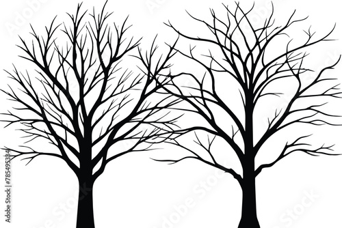 Large leafless hardwood trees are seen silhouetted on a white background, line art, vector illustration © MRSNURGAHAN