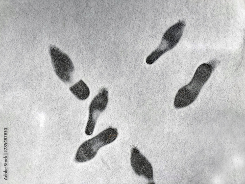snow_footprints