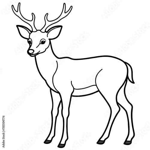  Deer vector illustration style. 