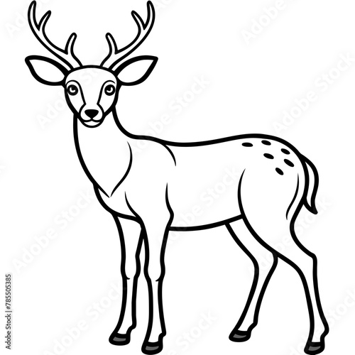  Deer vector illustration style. 
