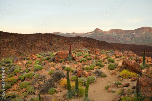 Landscape with Lava, Volcano El Teide, Tenerife, Canary Island, Spain