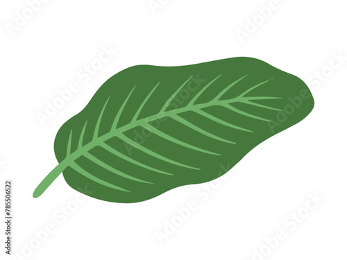 Tropical Green Leaf Background Illustration 
