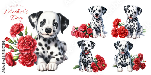 Dalmatian puppy and red carnation watercolor illustration material set