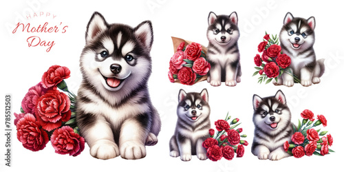 Siberian husky puppy and red carnation watercolor illustration material set