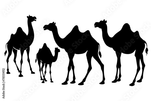 Camel silhouette vector illustration white background