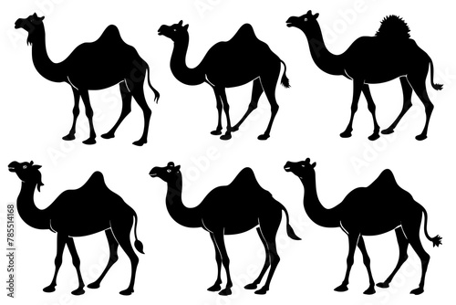 Camel silhouette vector illustration white background