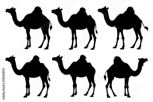Camel silhouette vector illustration white background