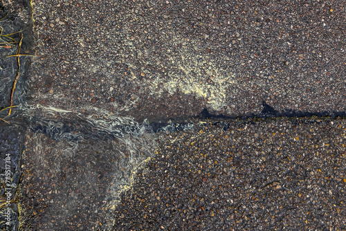 After rain in spring, yellow pollen collects on the streets and in the gutter with the run-off rainwater