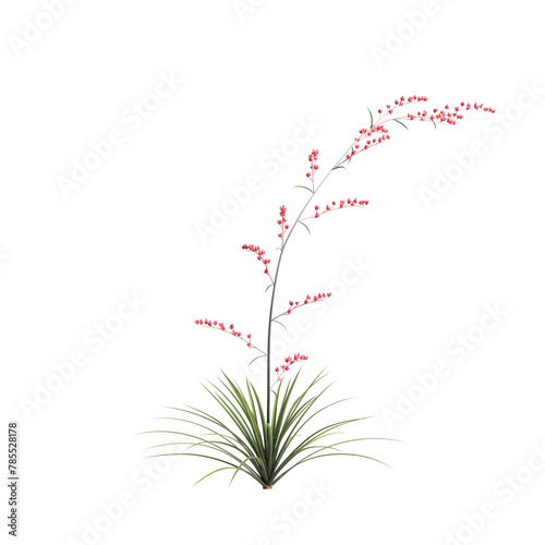 3d illustration of Hesperaloe parviflora bush isolated on transparent background