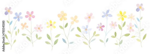 PNG Cute rainbow flowers branch as line watercolour illustration pattern plant white background
