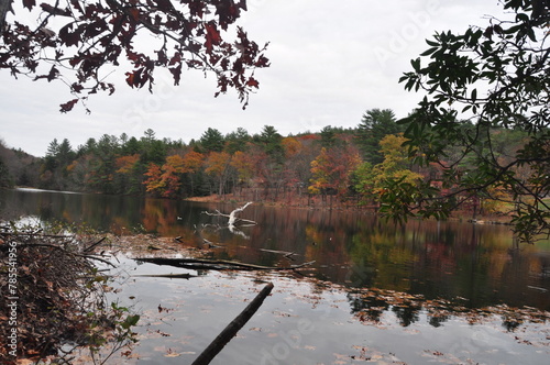 lake in the autumn