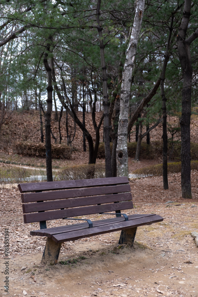 A bench with view of Seoul Forest in early spring, South Korea