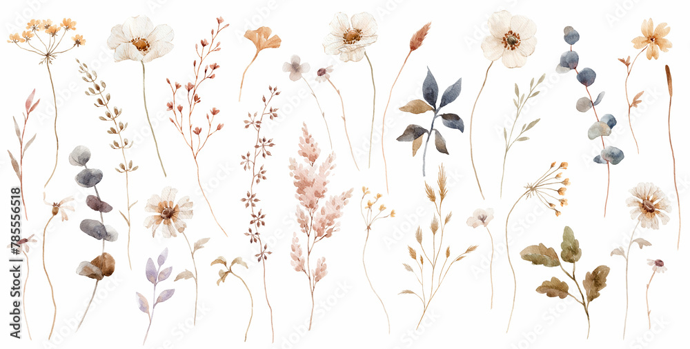Obraz premium Beautiful floral set with watercolor hand drawn gentle autumn fall flowers. Stock floral illustration. Nature clip art.