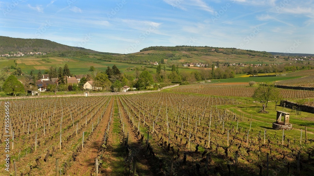 Panorama de la Côte Chalonnaise en Bourgogne.