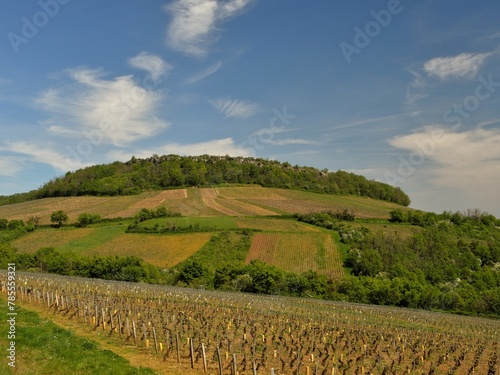 Vignoble de la Côte Chalonnaise en Bourgogne.