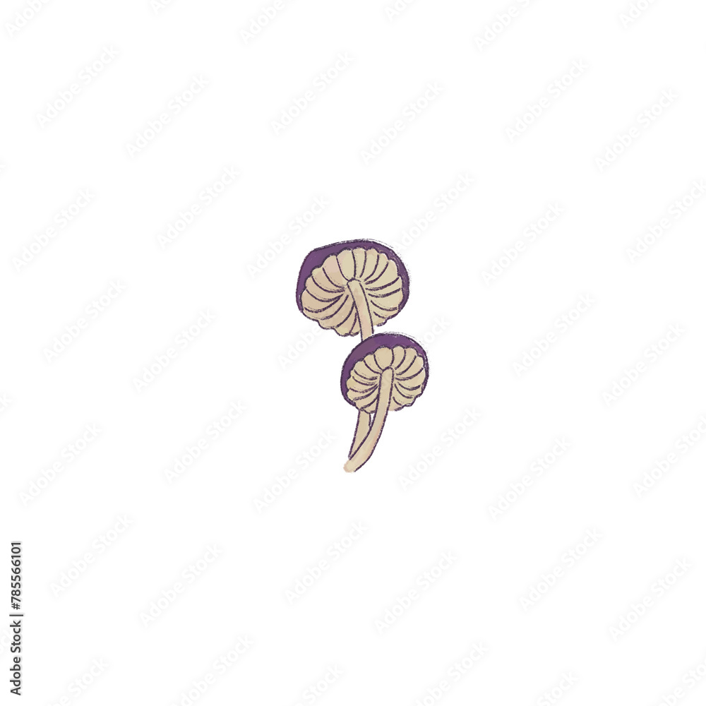 Pencil children's illustration sketch of a mushroom
