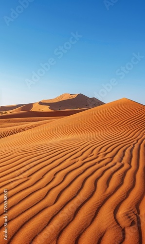  A vast expanse of sand dunes in the desert's heart, backed by a crystal-clear blue sky