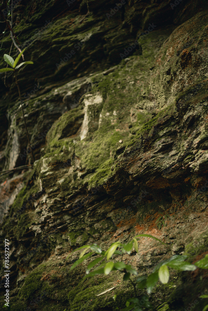 green moss on the rocks