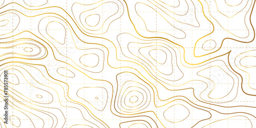 Topographic Map Seamless Pattern. Vector Golden Contour Line Background