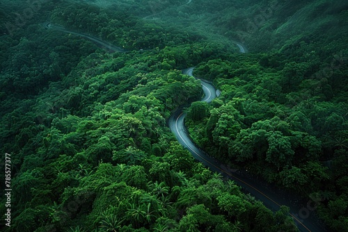 Serene bird s-eye view of curved road amidst verdant forest in rain season  inviting viewers to immerse themselves in natural splendor.