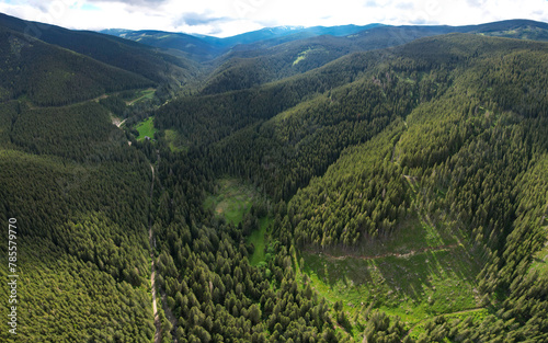 Drone view above Sadu valley. Sadu river flowing along wild coniferous forests through green pastures. Cindrel mountain peaks are raising impetuous to the clouded sky. Sunny day, Carpathia, Romania