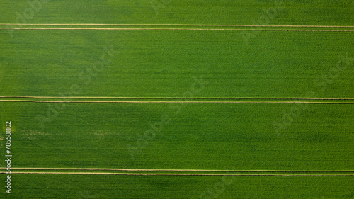 Tablou pe pânză Prairie verte avec forêt avec des traces géométriques au printemps vu de haut en