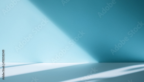 Abstract studio blue background for product presentation. Empty room with shadows of window and flowers and palm leaves . 3d room with copy space. Summer concert. backdrop. beauty product placement.