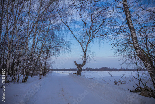 winter nature in the Russian countryside