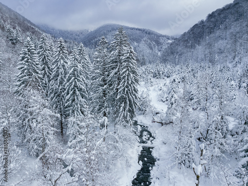 Aerial vertical panorama of a frozen mountain creek flowing through a snowed coniferous forest. Winter Season, Carpathia, Romania, Fagaras Mountains photo