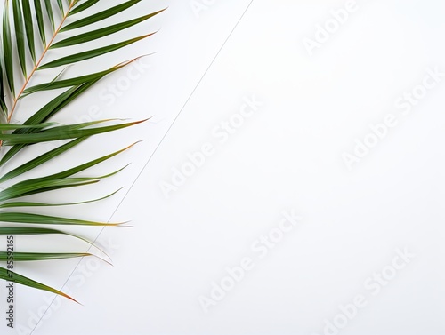 White background with dark white paper on the right side  minimalistic background  copy space concept  top view  flat lay