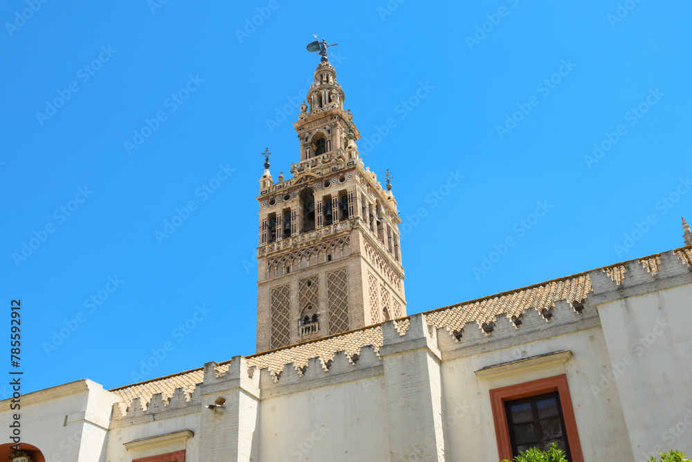 La Giralda, Catedral de Sevilla, Andalusia, Spain, Europe