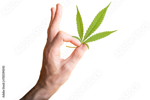 Fresh green cannabis leaf in fingers. OK symbol made from fingers