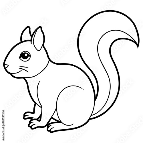 squirrel