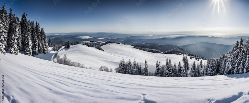 Fototapeta premium Stunning panorama of snowy landscape in winter in Black Forest - beautiful winter wonderland