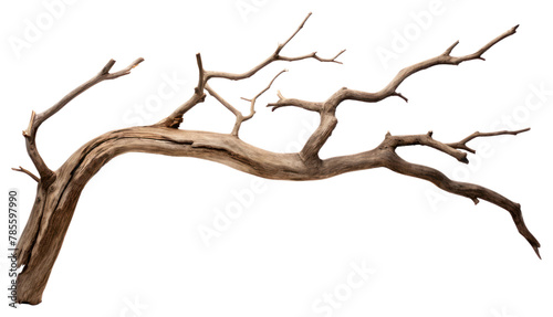 PNG Wood driftwood branch tree