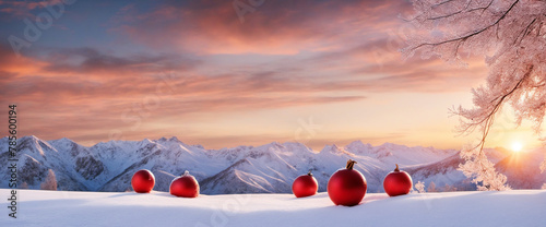 hristmas winter background banner long photo